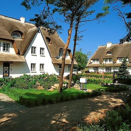 Achtern Diek Haus 12A Wohnung 7 Zingst Exteriör bild