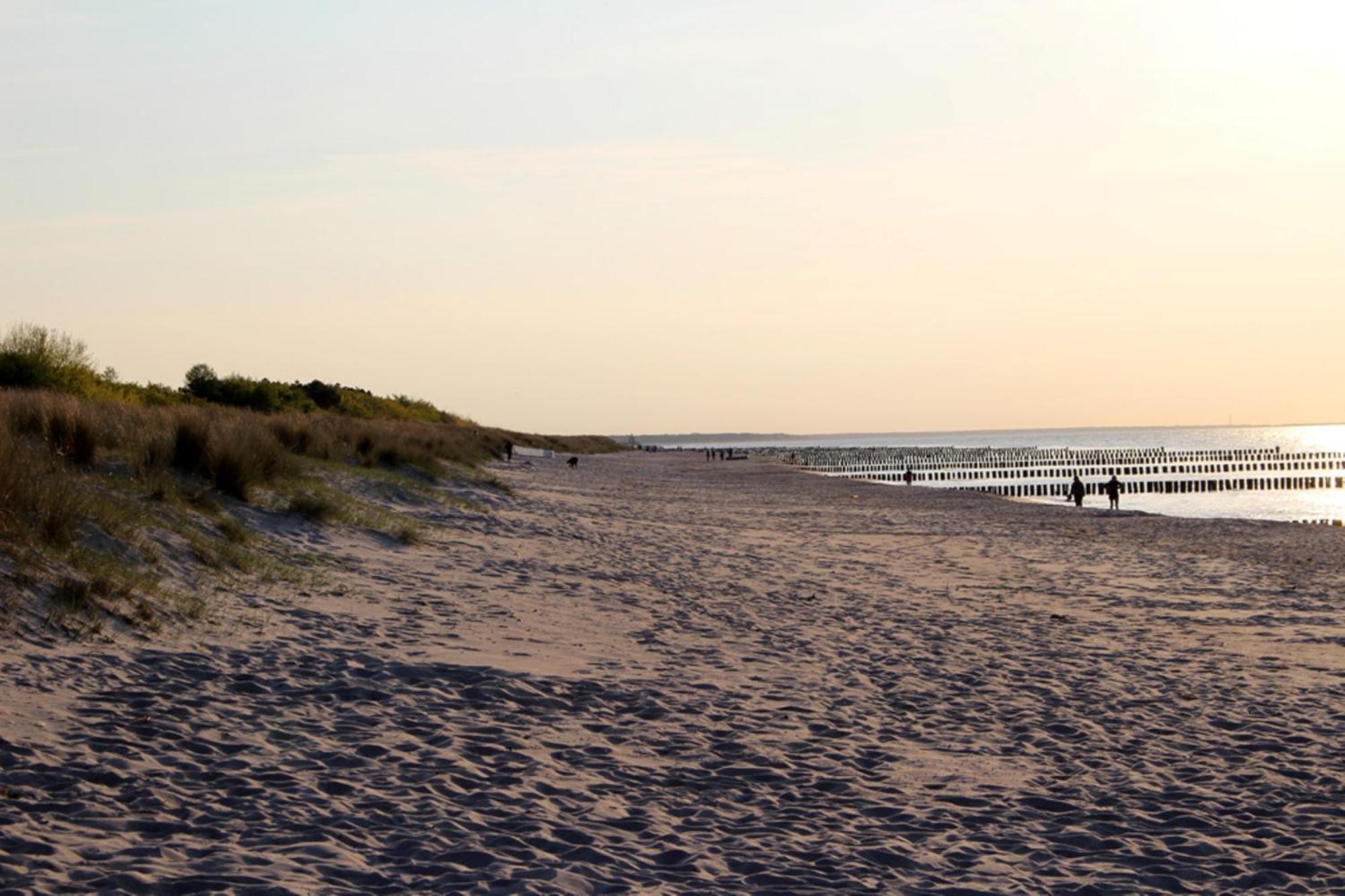 Achtern Diek Haus 12A Wohnung 7 Zingst Exteriör bild